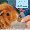 OXBOW Simple Rewards Baked Treats with Bell Pepper