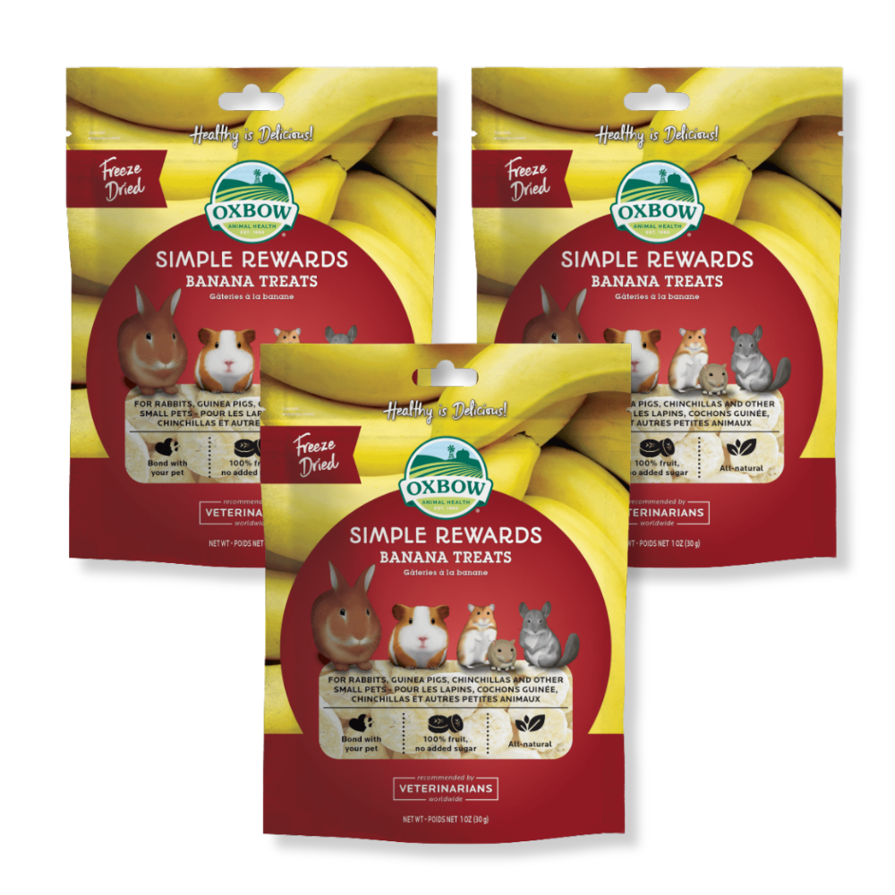 OXBOW Simple Rewards Banana Treats