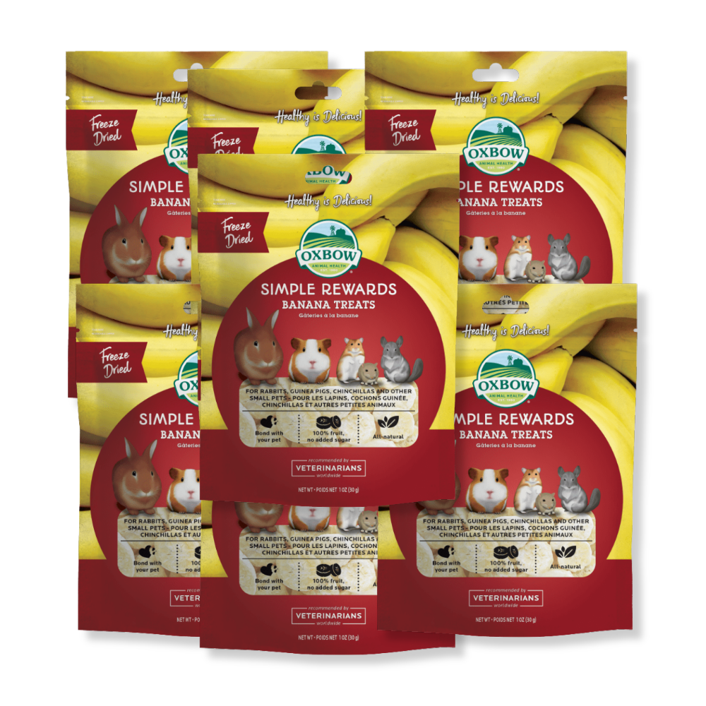 OXBOW Simple Rewards Banana Treats