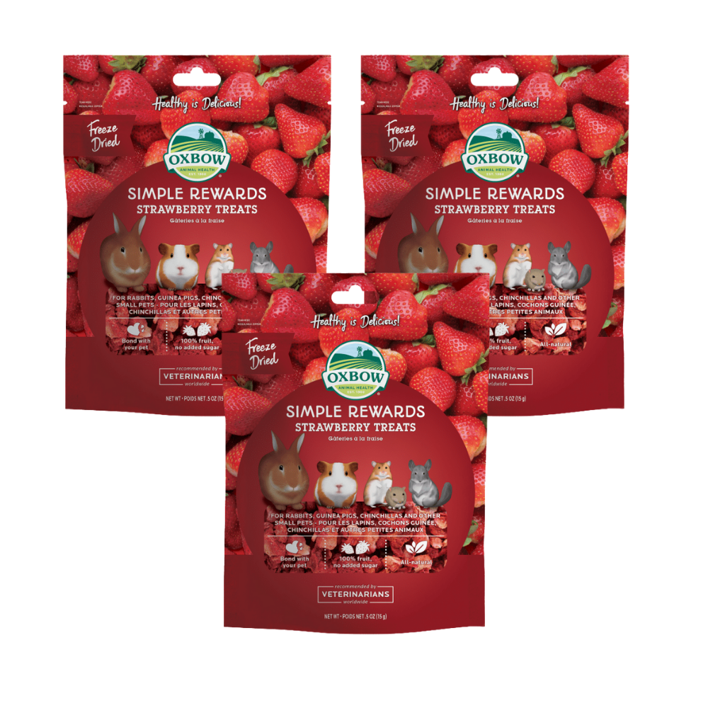 OXBOW Simple Rewards Strawberry Treats