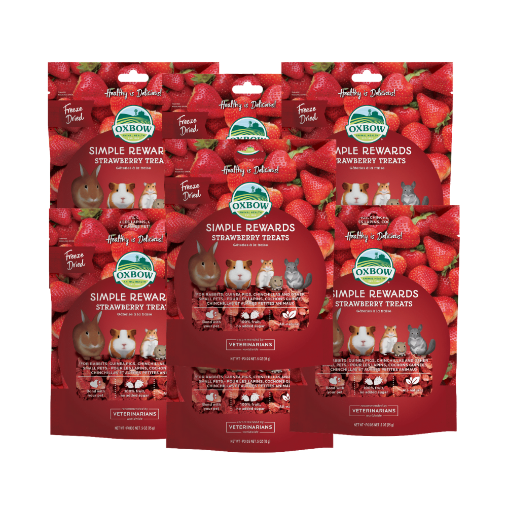 OXBOW Simple Rewards Strawberry Treats
