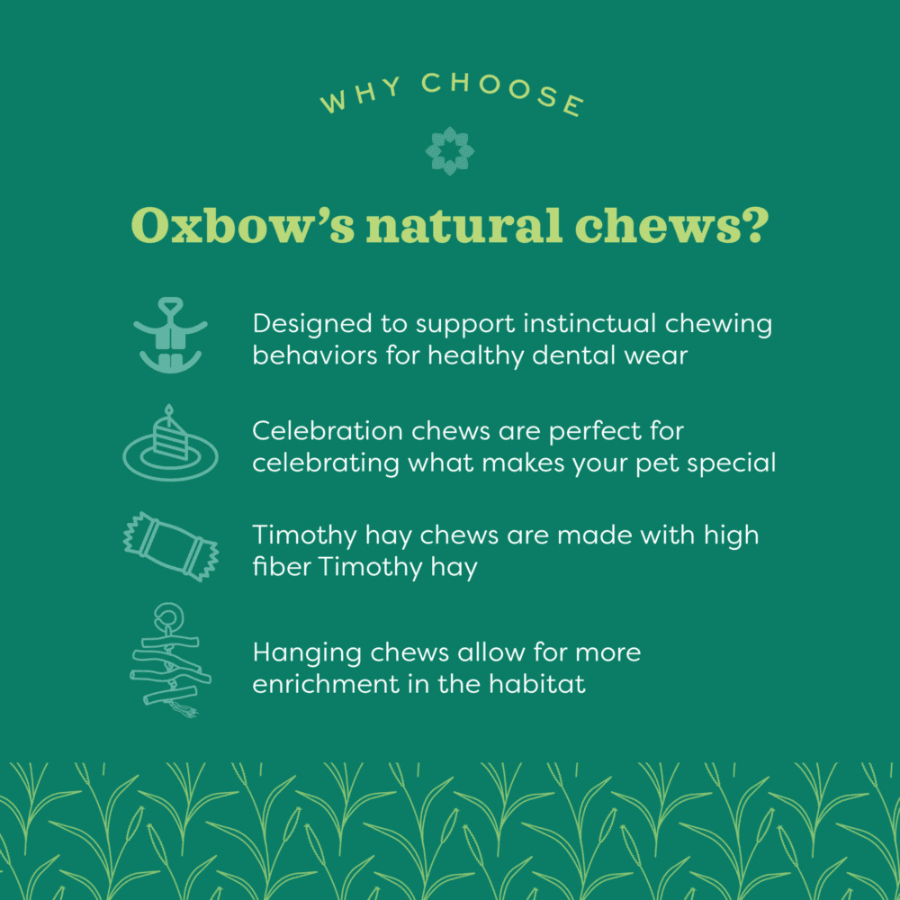 OXBOW Timothy Club Hide and Seek Mat