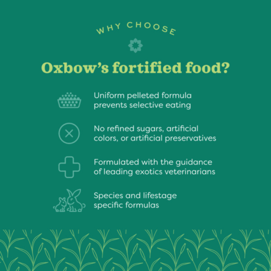 OXBOW Young Guinea Pig Food - 25 lbs