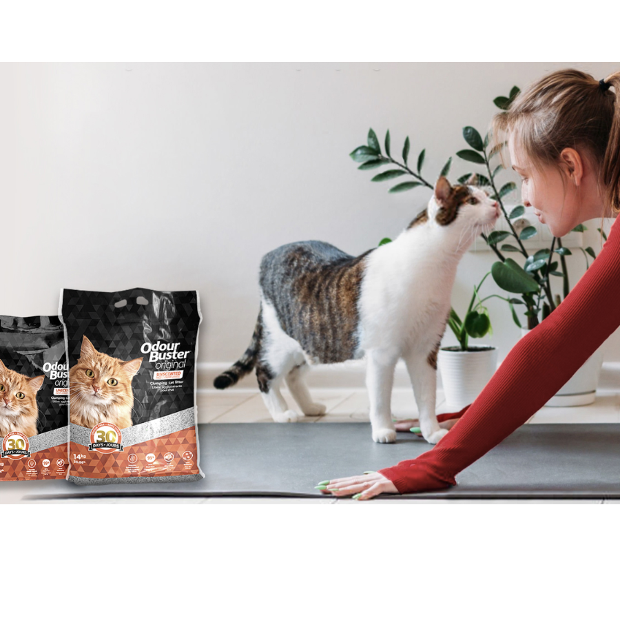 Odour Buster Original Litter