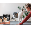 Odour Buster Original Litter