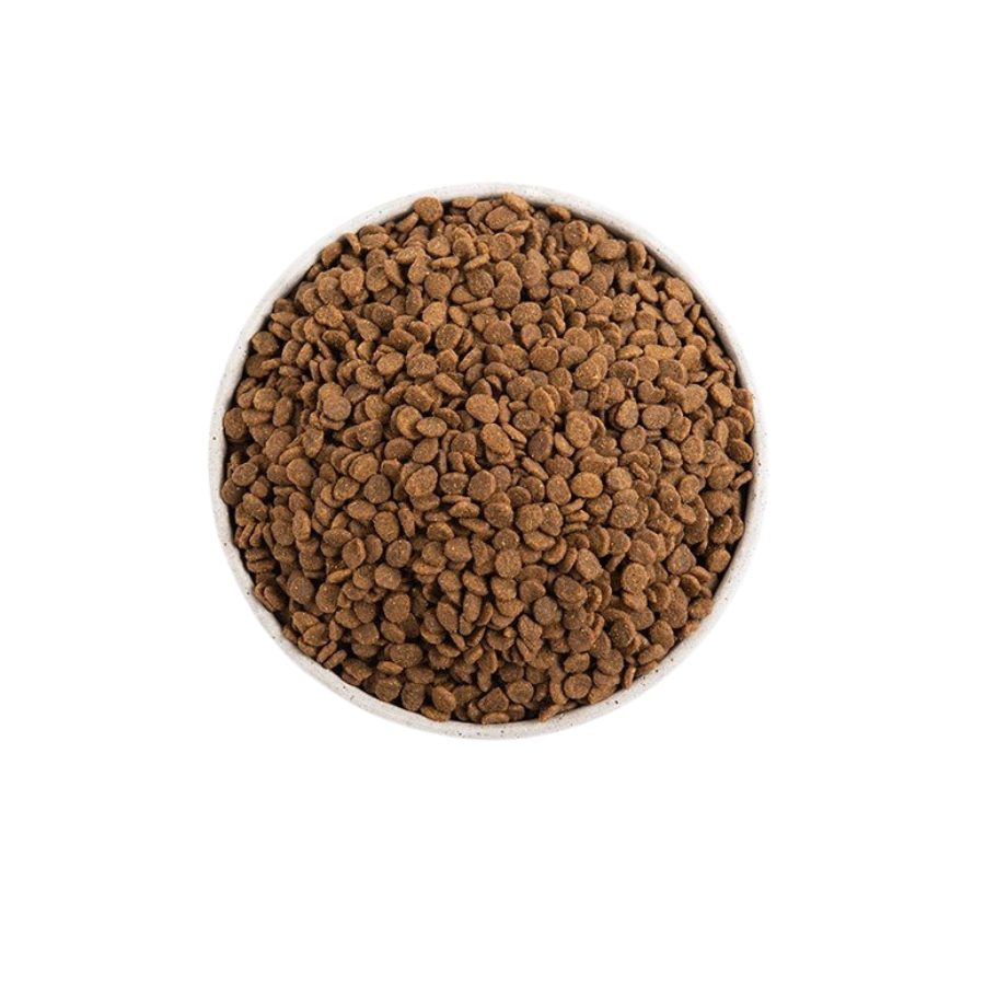 Orijen Adult Dog Original