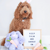 Patchwork Pastel Rabbit - 15"