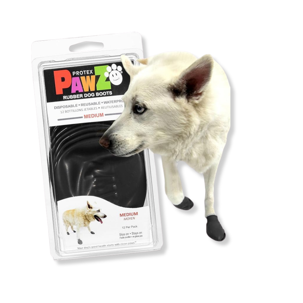 Pawz Boots - Black