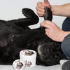 Pawz MAXWAX Paw and Nose Balm - 200 g
