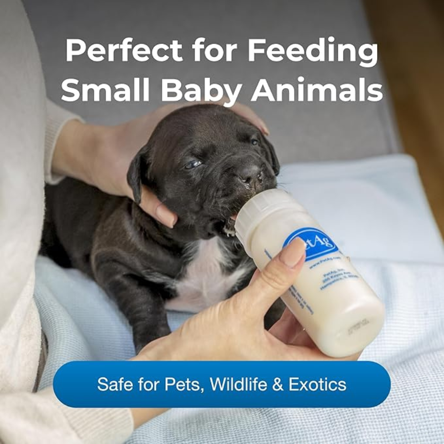 PetAg Borden Nursing Bottle