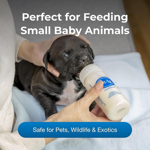 PetAg Borden Nursing Bottle