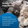PetAg KMR Powder Milk Replacer for Kittens - 12 oz