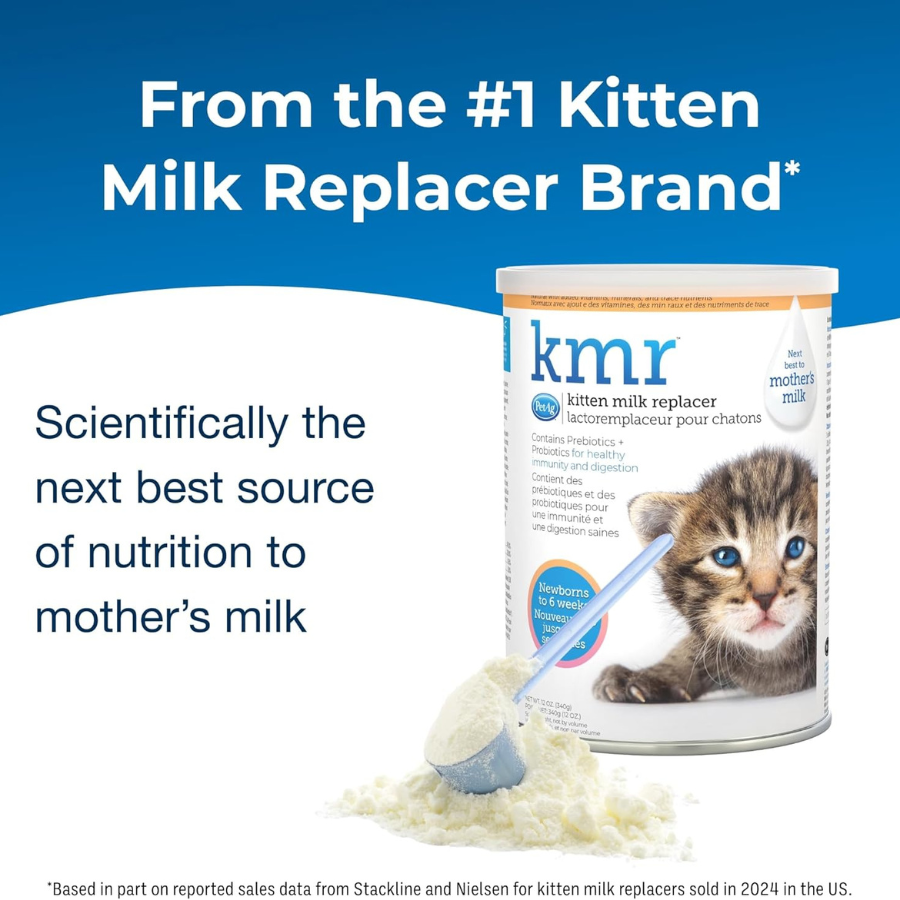 PetAg KMR Powder Milk Replacer for Kittens - 12 oz