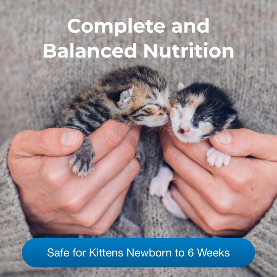 PetAg KMR Powder Milk Replacer for Kittens - 12 oz