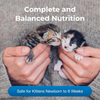 PetAg KMR Powder Milk Replacer for Kittens - 12 oz