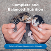 PetAg KMR Powder Milk Replacer for Kittens - 28 oz