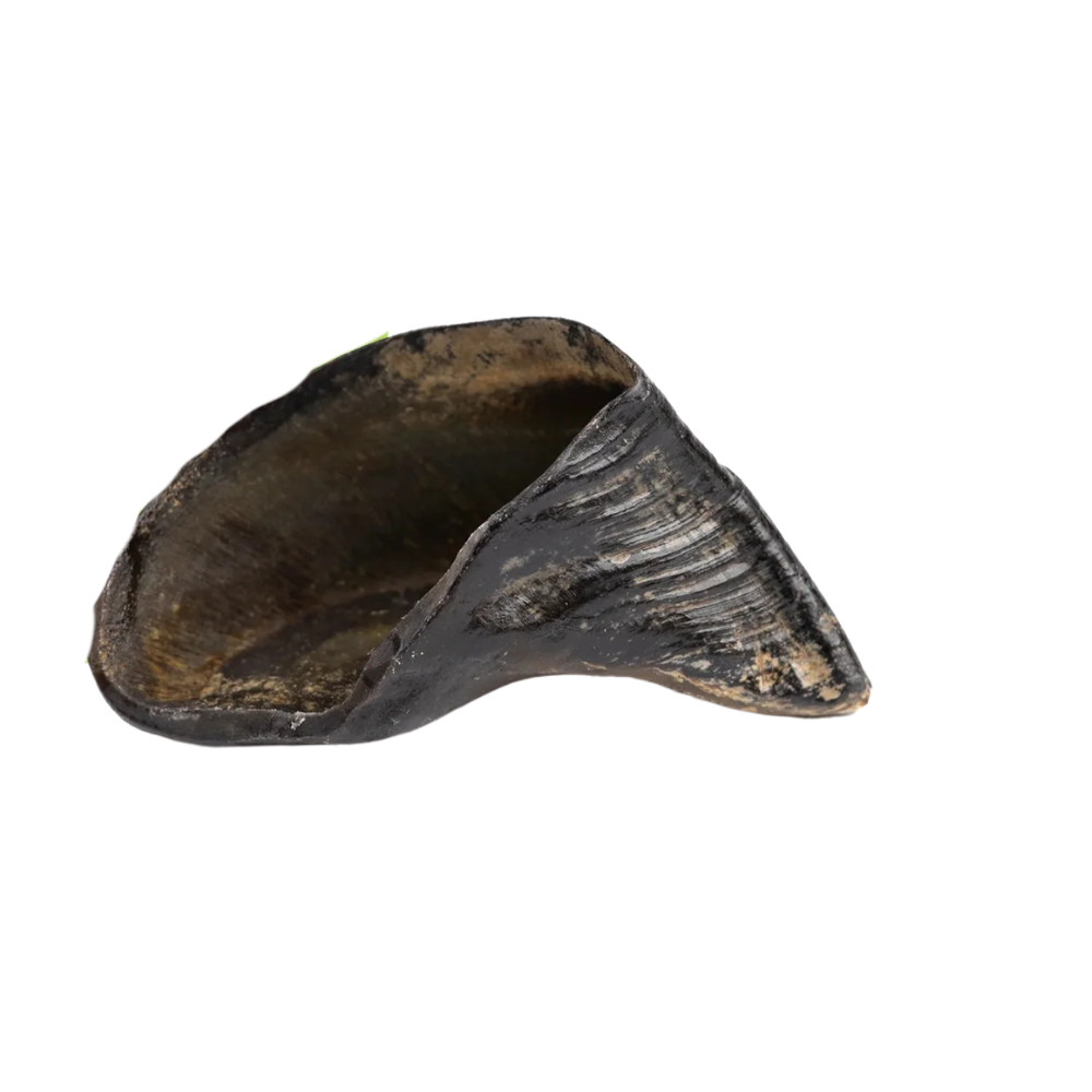 Purely Paws Beef Hooves