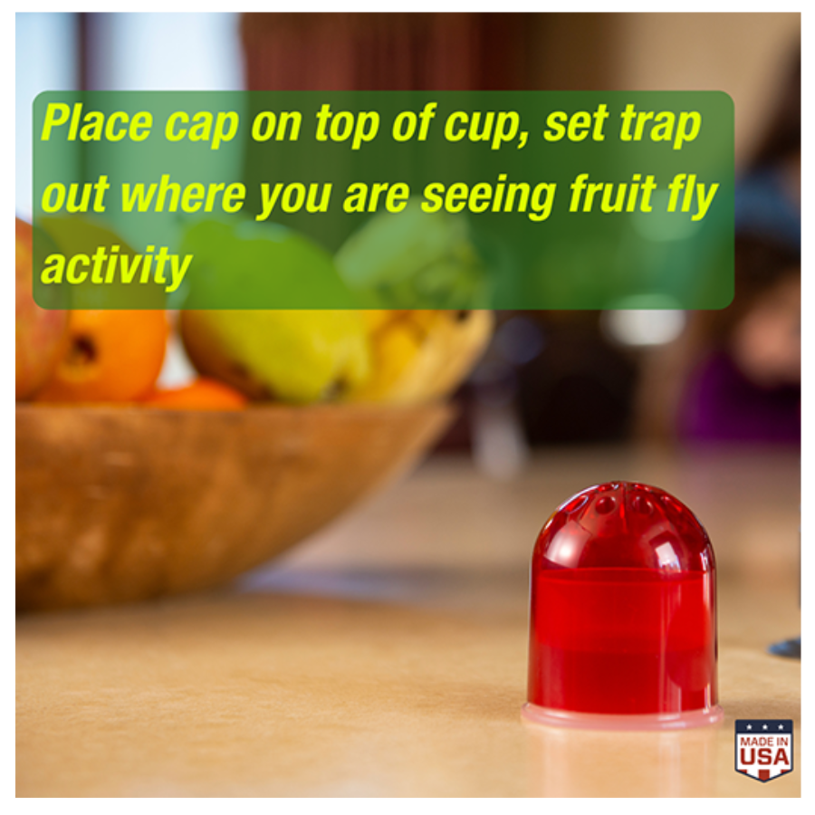 Rescue! Reusable Fruit Fly Trap