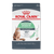 Royal Canin Digestive Care Cat Food