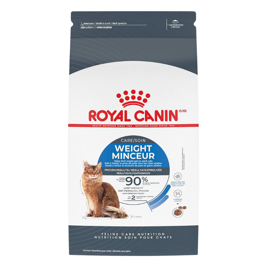 Stunning Weight Maintenance Tips For Indoor Cats In A Temperate Climate image