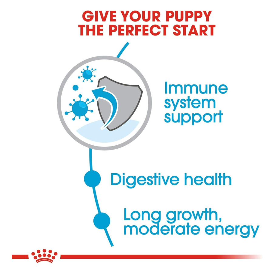 Royal Canin Large Puppy Dry Dog Food