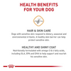 Royal Canin Medium Sensitive Skin Care Dry Dog Food - 30 lbs