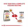 Royal Canin Medium Sensitive Skin Care Dry Dog Food - 30 lbs