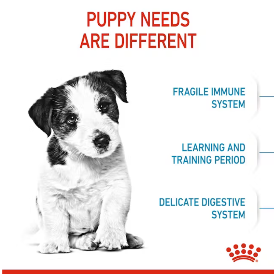 Royal Canin Small Puppy Dry Dog Food - 14 lbs