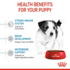 Royal Canin Small Puppy Dry Dog Food - 14 lbs