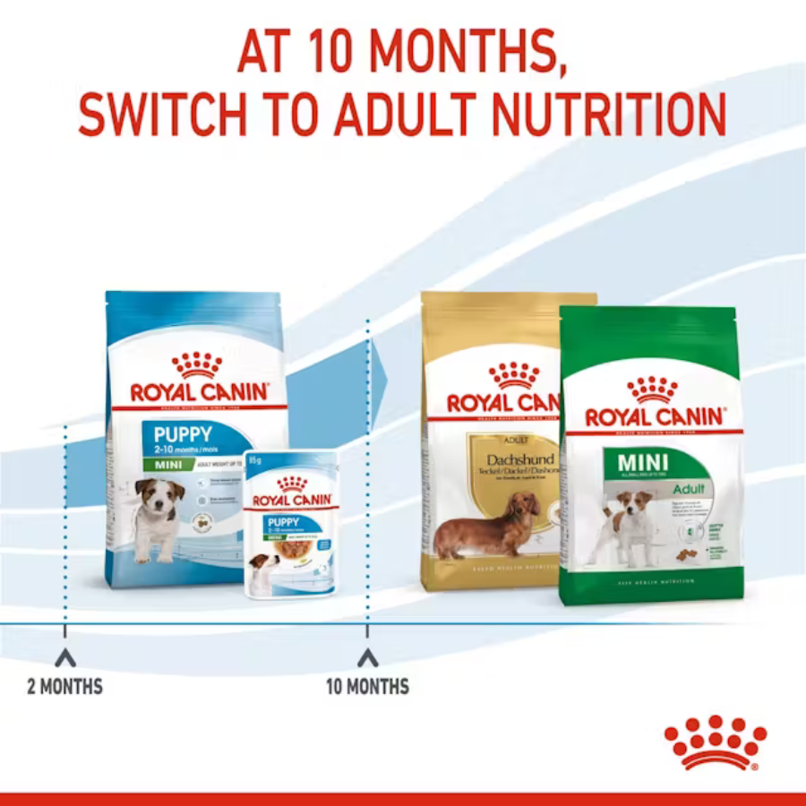 Royal Canin Small Puppy Dry Dog Food - 14 lbs