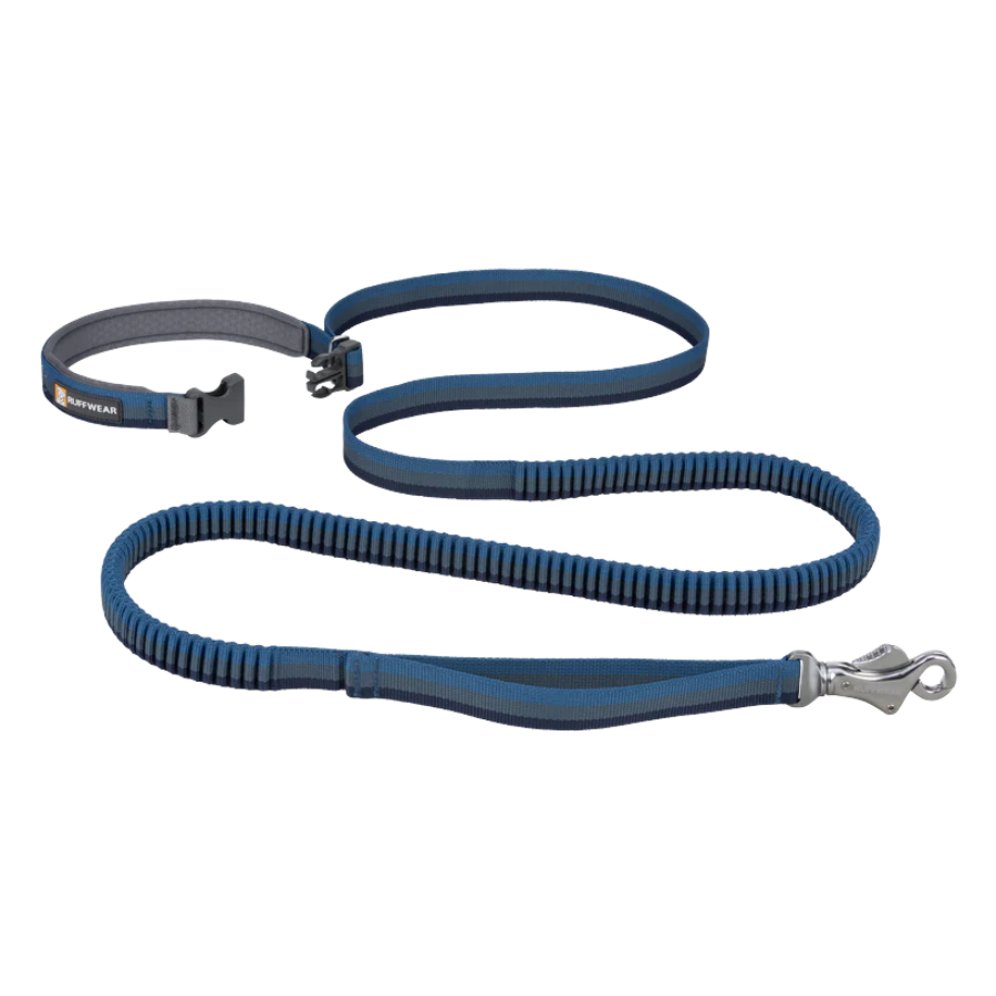 Ruffwear Roamer Hands-Free Dog Leash