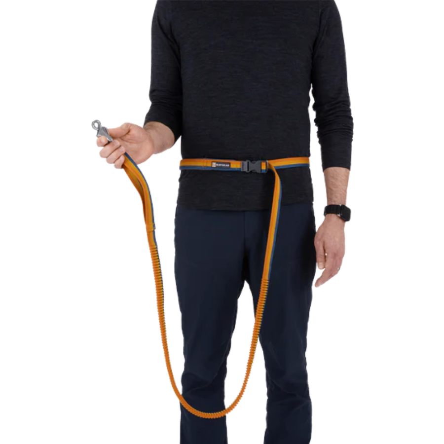 Ruffwear Roamer Hands-Free Dog Leash