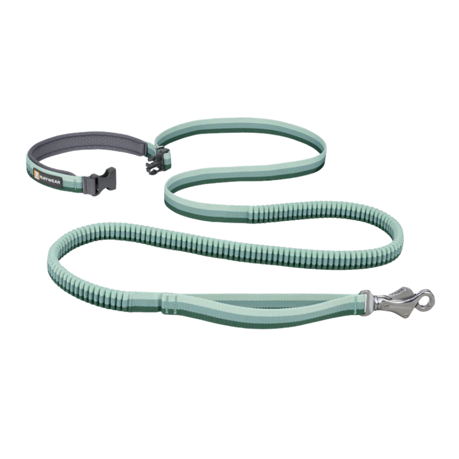 Ruffwear Roamer Hands-Free Dog Leash