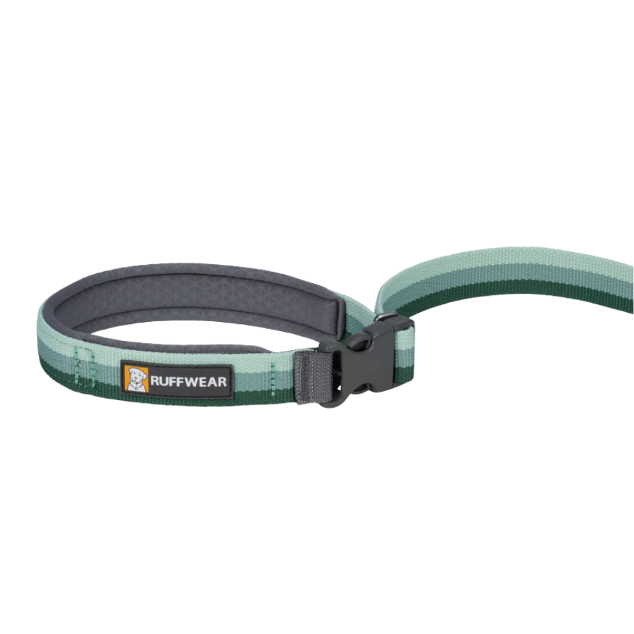 Ruffwear Roamer Hands-Free Dog Leash