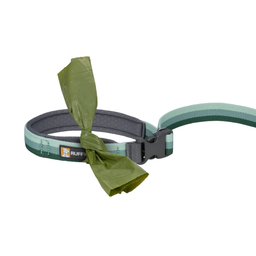 Ruffwear Roamer Hands-Free Dog Leash