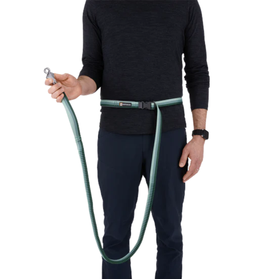 Ruffwear Roamer Hands-Free Dog Leash