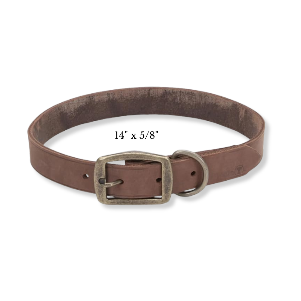 Rustic Leather Town Collar Brown