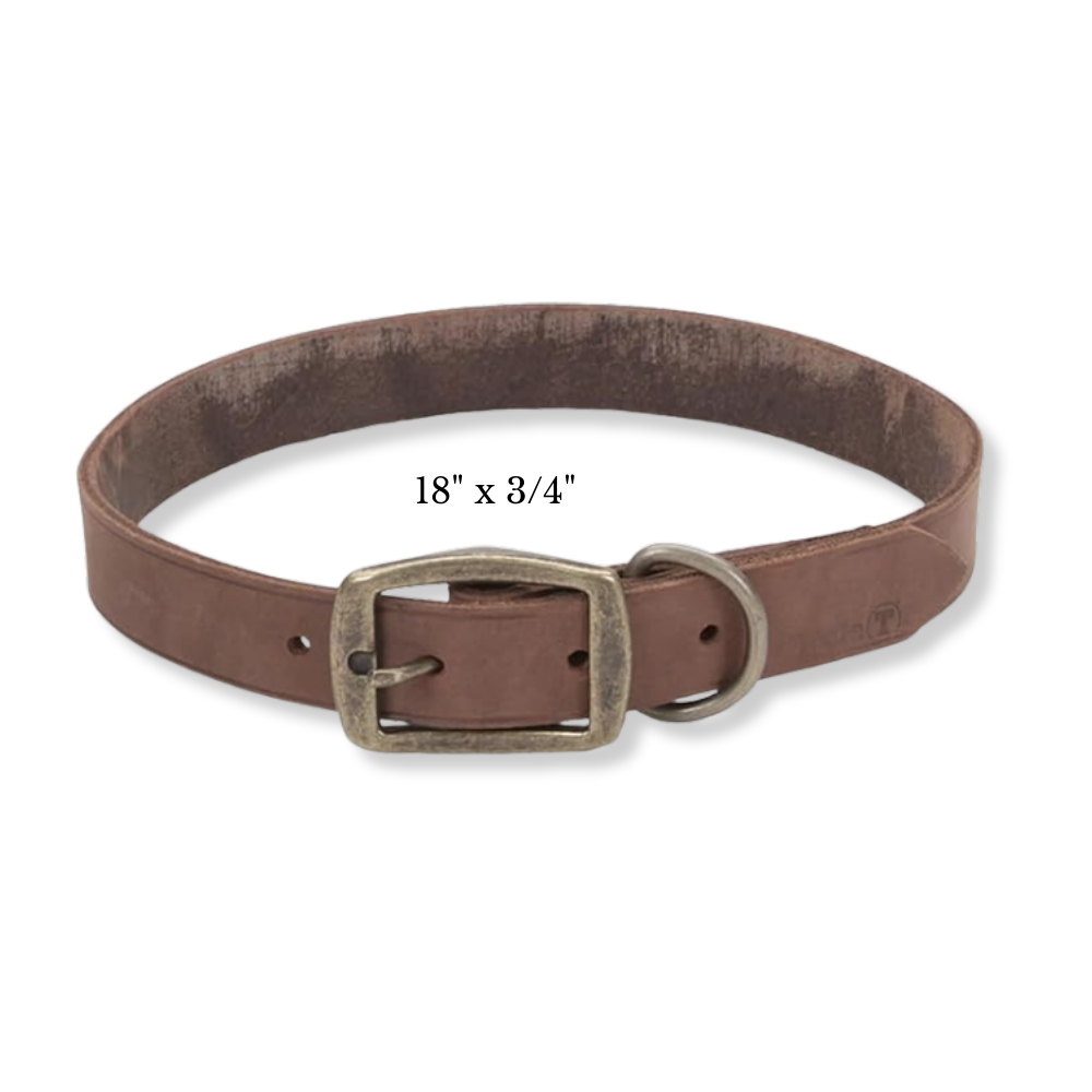 Rustic Leather Town Collar Brown