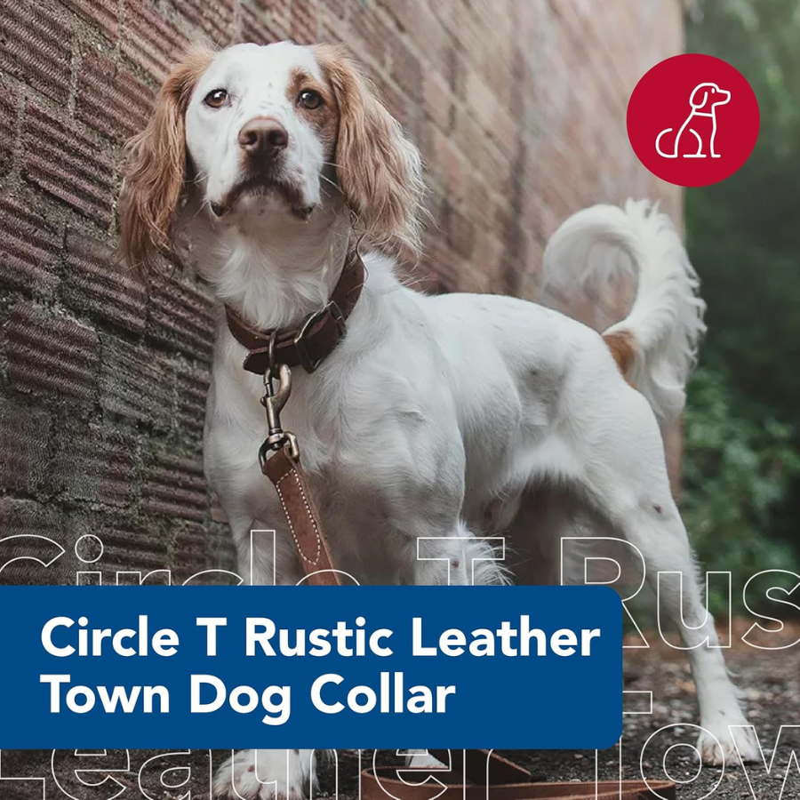 Rustic Leather Town Collar Brown