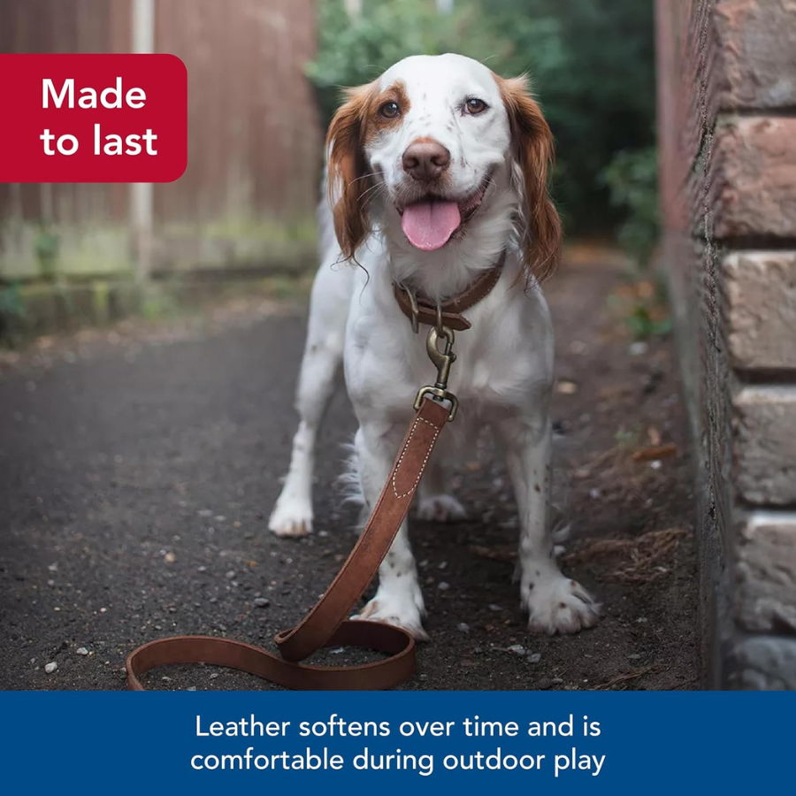 Rustic Leather Town Collar Brown