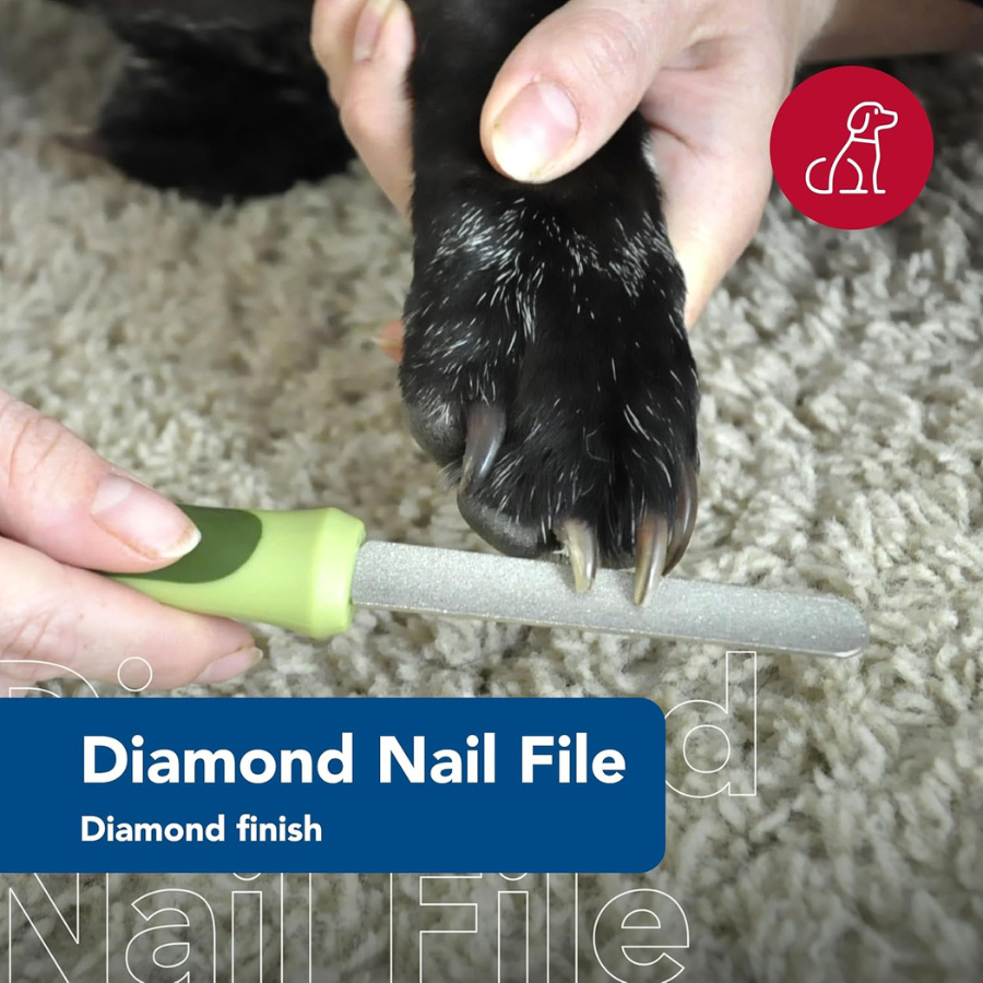 Safari Diamond Nail File