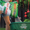 Scotts Turf Builder - 14.5 kg
