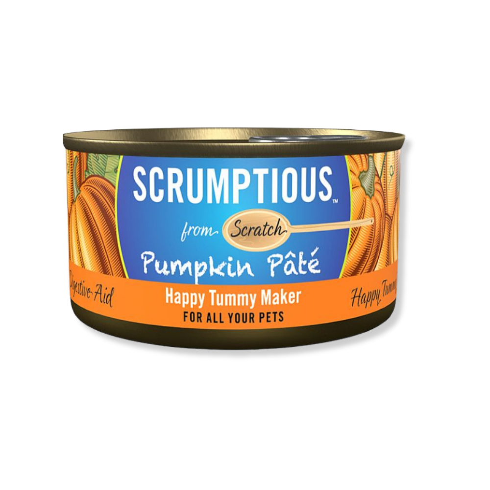 Scrumptious Pumpkin Pate