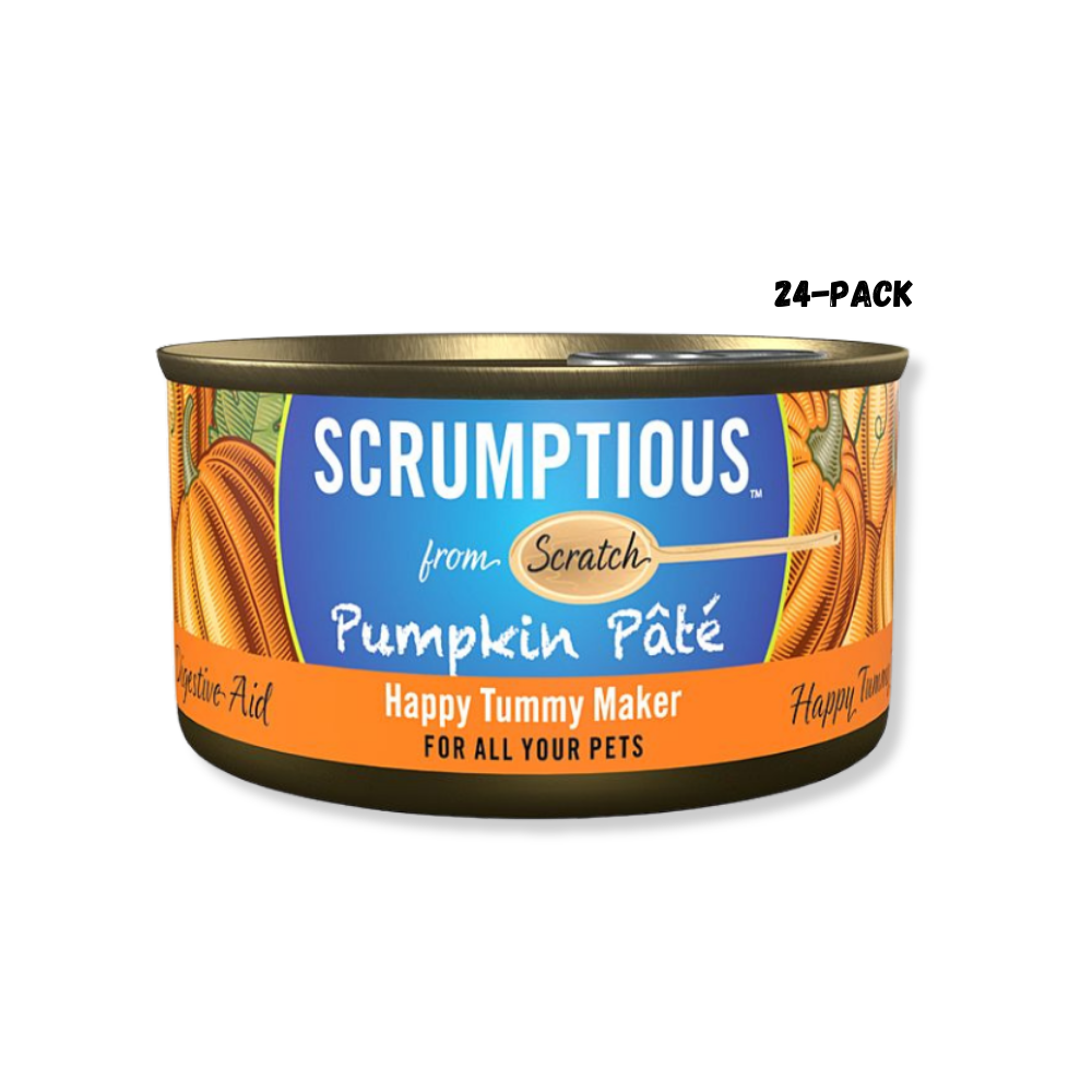 Scrumptious Pumpkin Pate