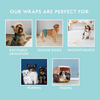 Simple Solution Washable Male Wrap