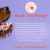 Skout's Honor Probiotic Deoderizer for Dogs and Cats - Dog of the Woods Scent (Sandlewood/Vanilla)