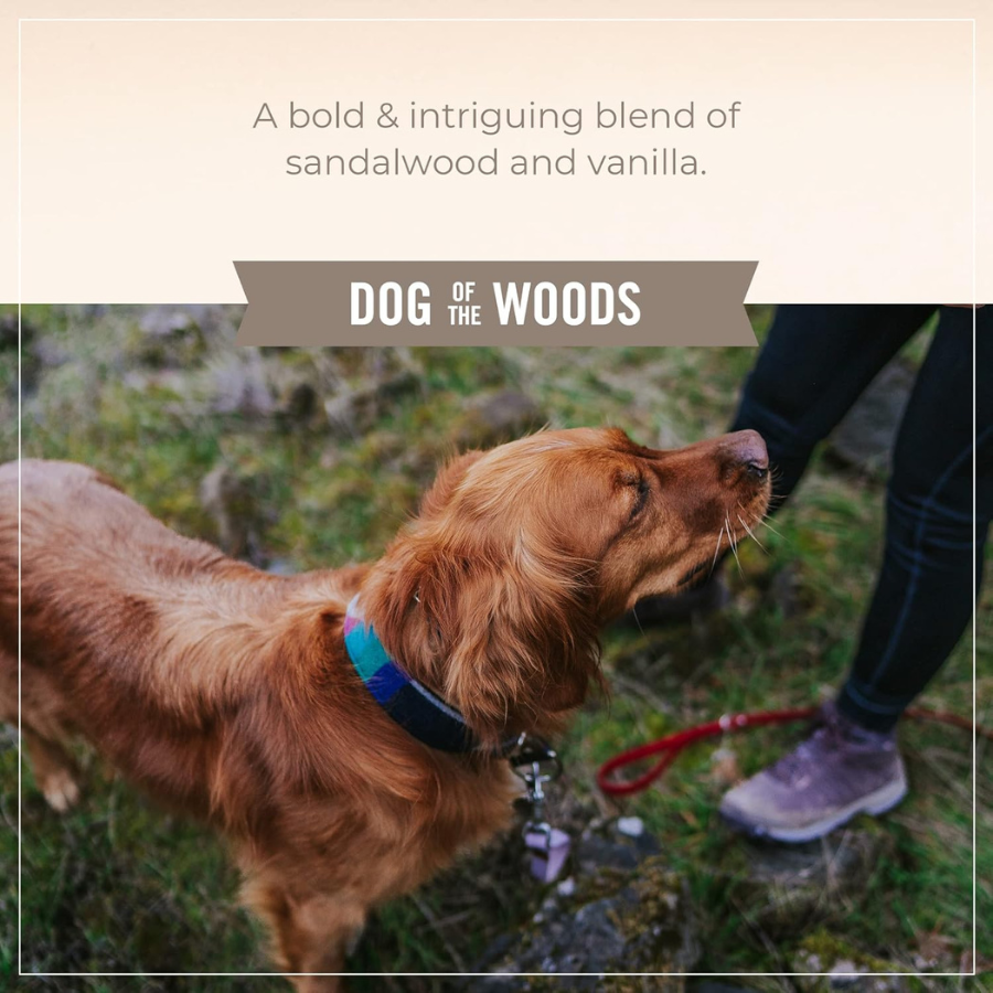 Skout's Honor Probiotic Detangler for Dogs and Cats - Dog of the Woods Scent (Sandlewood/Vanilla)