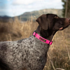 SmellyDogz Adjustable Comfort Collar Red - Small