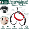Sporn No Pull Training Halter - Black