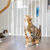 Spot - Ethical Pet Products A-Door-Able Bouncing Mouse Rattle and Catnip Toy